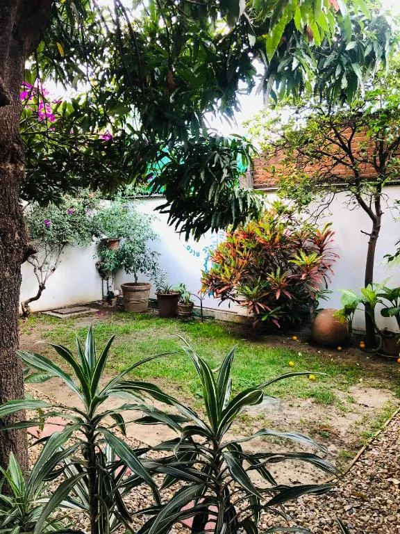 Jardín interior con árboles frutales y plantas