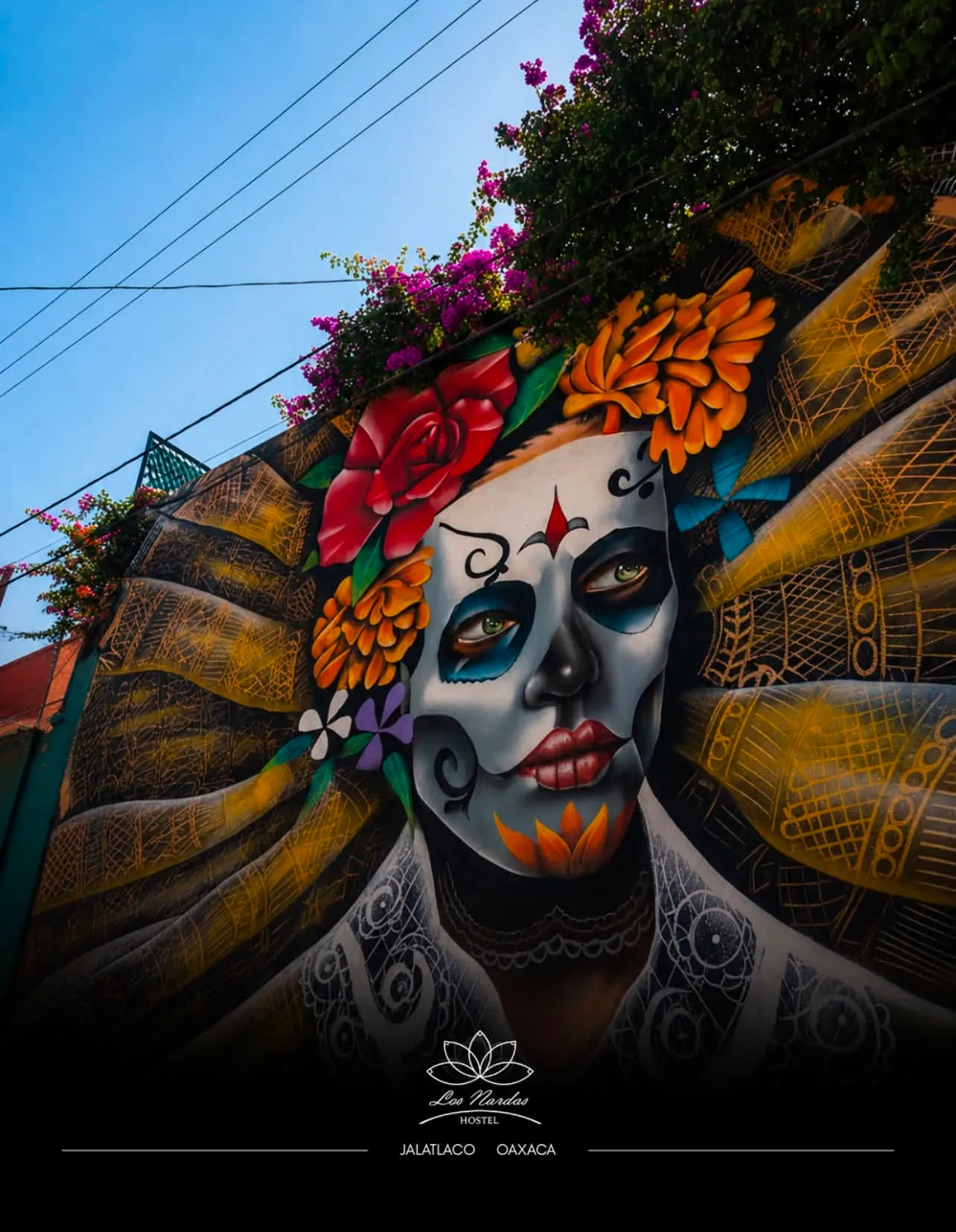 Bugambilias sobre el mural de la entrada